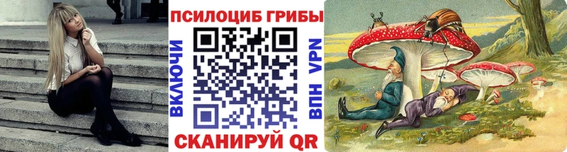 Галлюциногенные грибы ЛСД  блэк спрут ССЫЛКА  Советская Гавань 